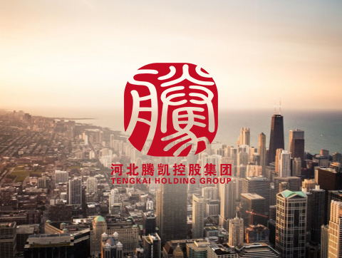 河北騰凱控股集團-投融資類網站建設定制開發(fā)